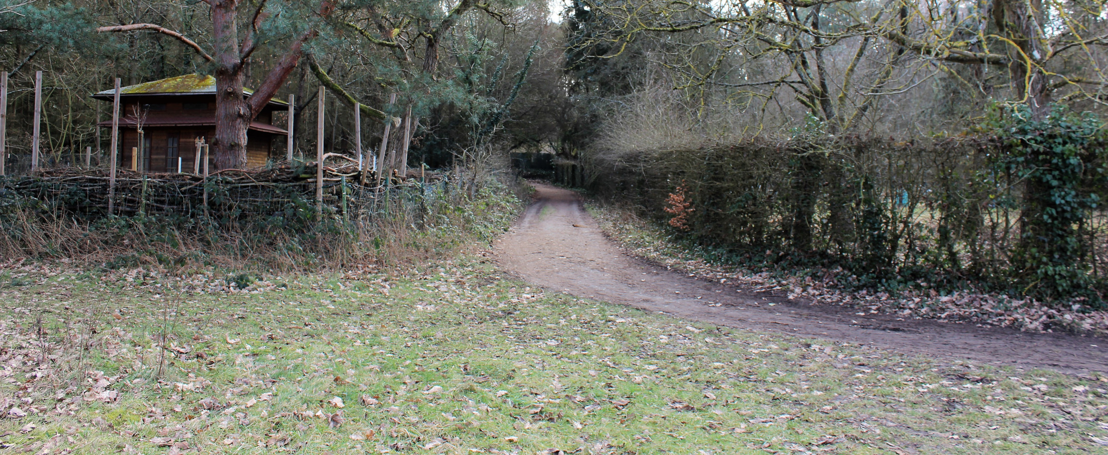 Header banner of 'Station 3'