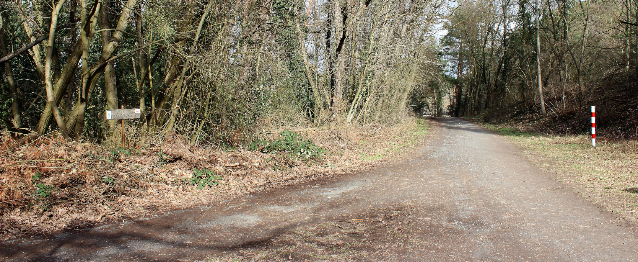 Header banner of 'Station 5'