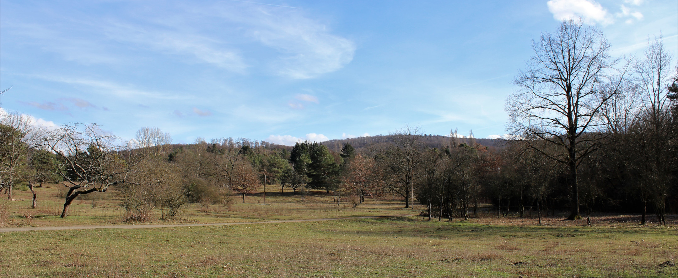 Header banner of 'Misereor Familienkreuzweg 2021'