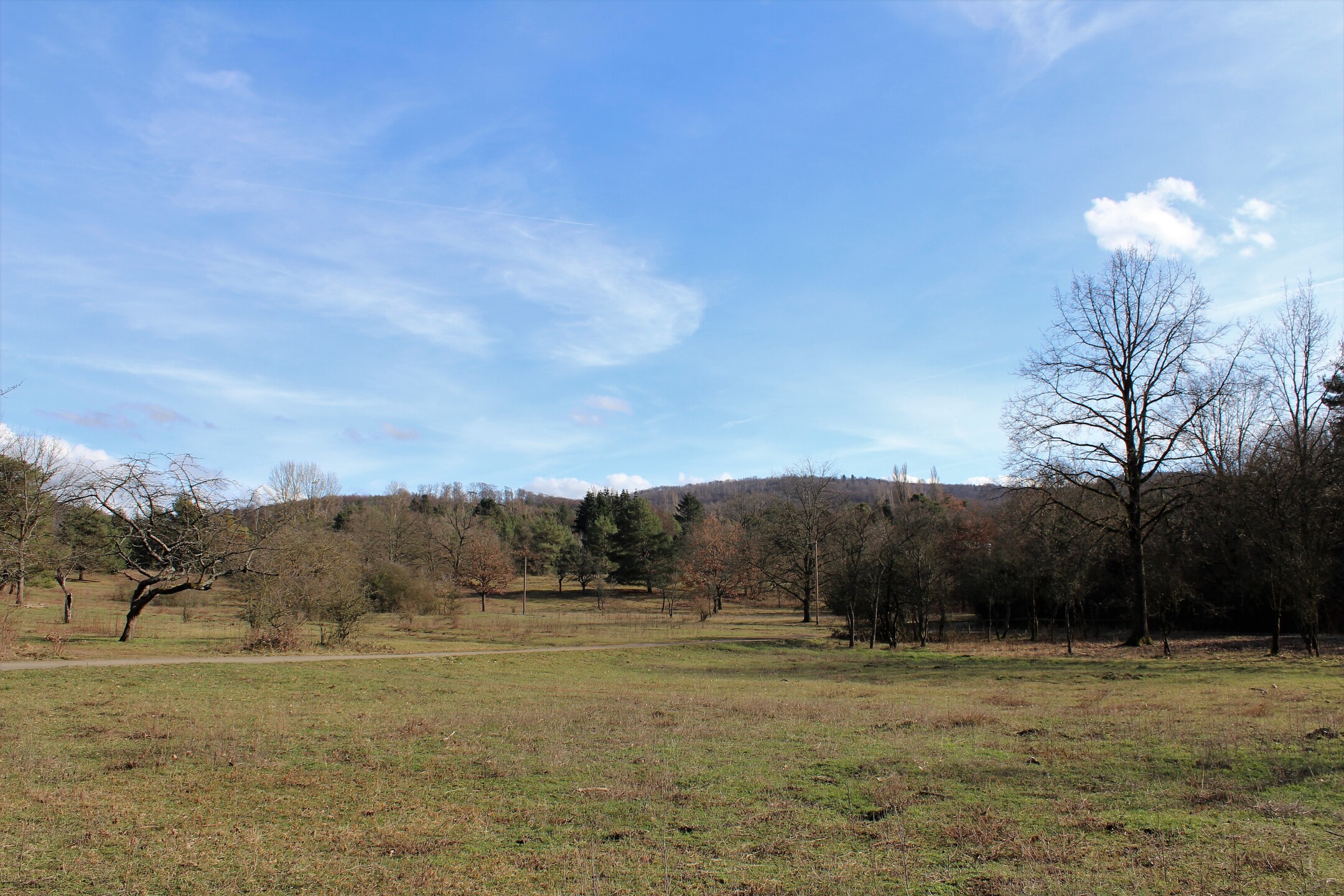 Header banner of 'Kreuzweg Darmstadt Eberstadt'